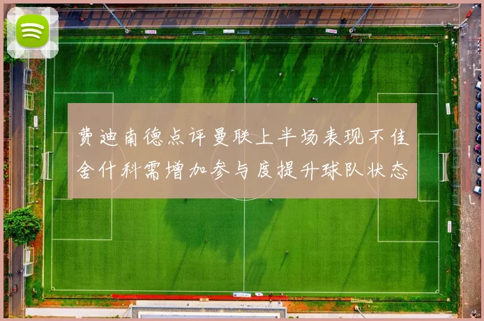 费迪南德点评曼联上半场表现不佳舍什科需增加参与度提升球队状态